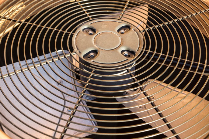Ball Bearing and Sleeve Bearing Fans
