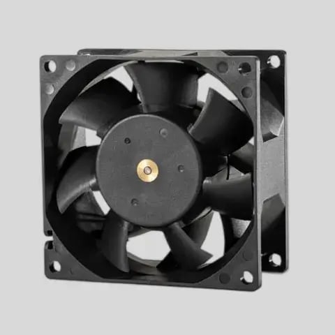 fan_2